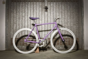 viola17